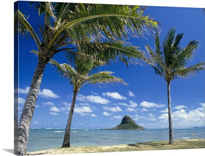Hawaii, Oahu, Mokoli'i Island And Palm Trees