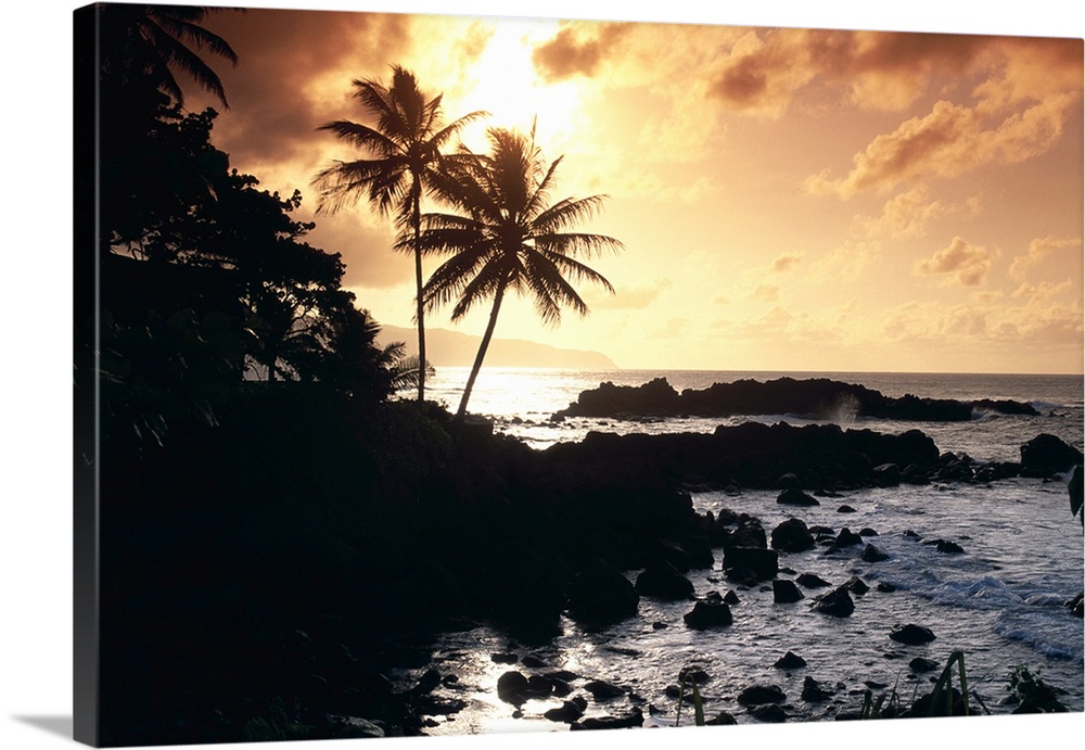 Hawaii, Oahu, North Shore, Rocky Shoreline With Palms Silhouetted At Sunset
