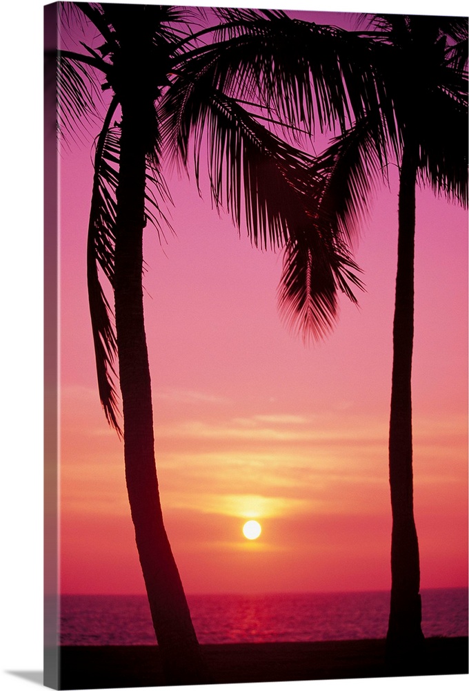 Hawaii, Oahu, Waianae Coast, View Of Sunset Between Two Palm Trees