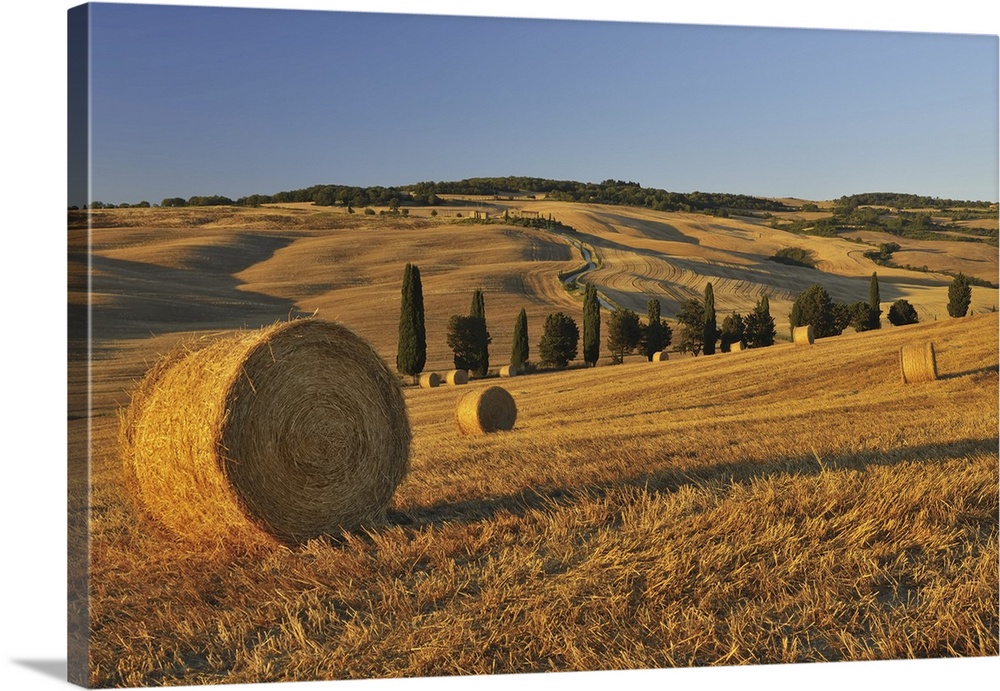 Hay Bale, Province of Siena, Tuscany, Italy