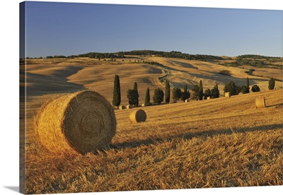 Hay Bale, Province Of Siena, Tuscany, Italy