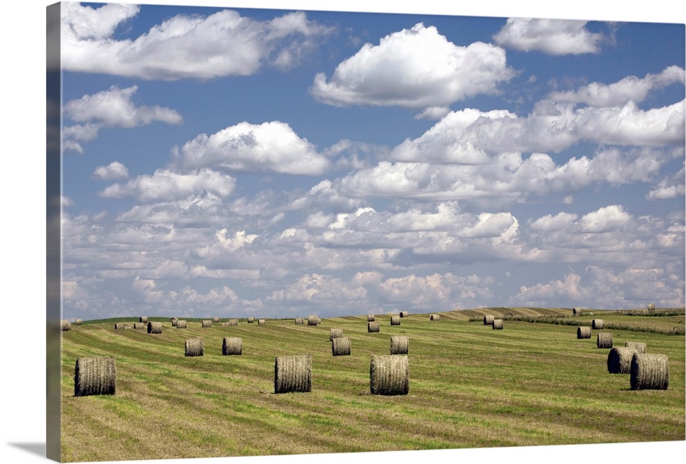 Hay Bales In Field, Alberta, Canada