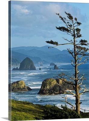 Haystack Rock Viewed From Ecola Point, Cannon Beach, Oregon