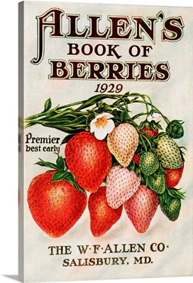 Historic Allen's Book of Berries with illustration of strawberries from 20th century