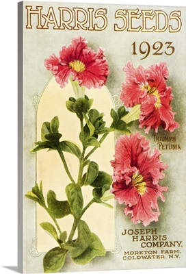 Historic Harris Seeds catalog with Triumph Petunia flower from 20th century