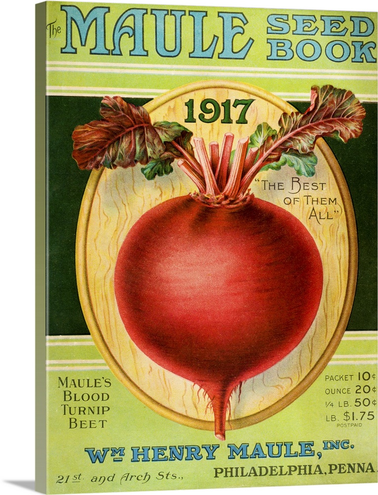 Historic Maule's seed book with illustration of blood turnip beet from 20th century