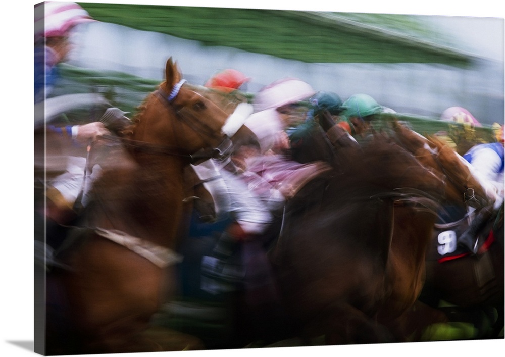Horses Breaking From The Stalls at a Race