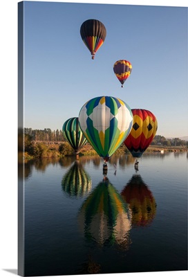 Hot air balloons from the Prosser Balloon Rally float above, and on, the water of the Yakima River.; Yakima River, Prosser, Washington