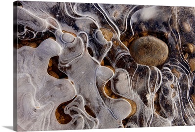 Ice forms along the shoreline of a small pond in Alaskas Tongass Forest