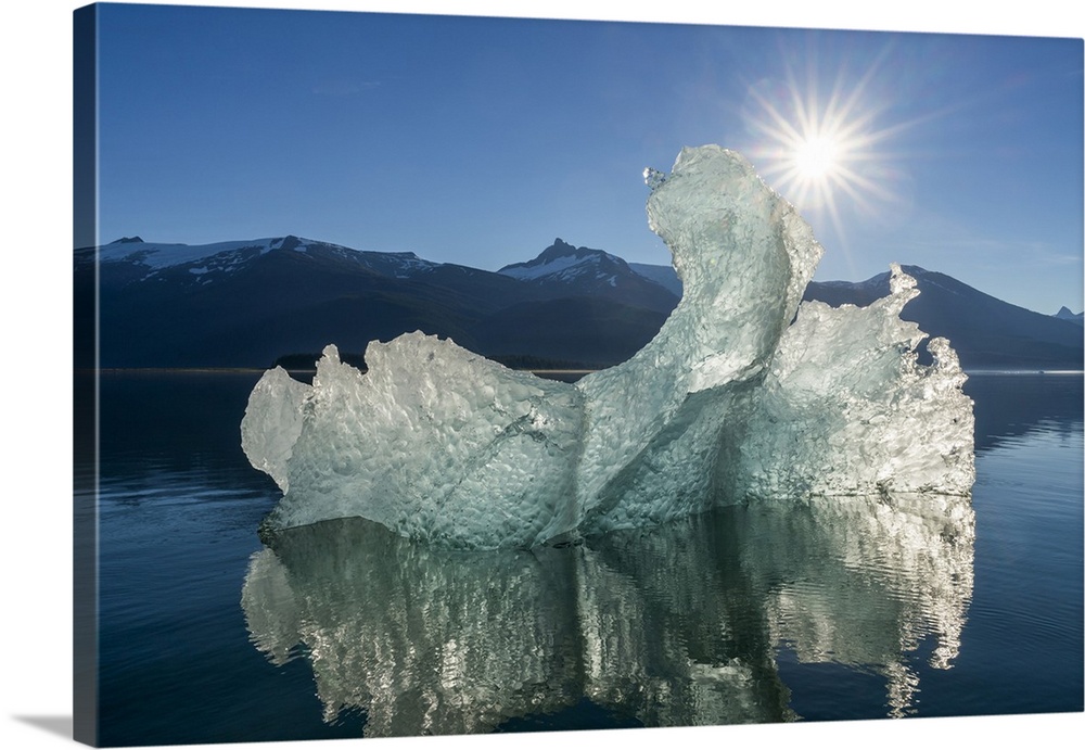 Iceberg and sunshine in Tracy Arm, Tongass National Forest, Southeast Alaska; Alaska, United States of America.