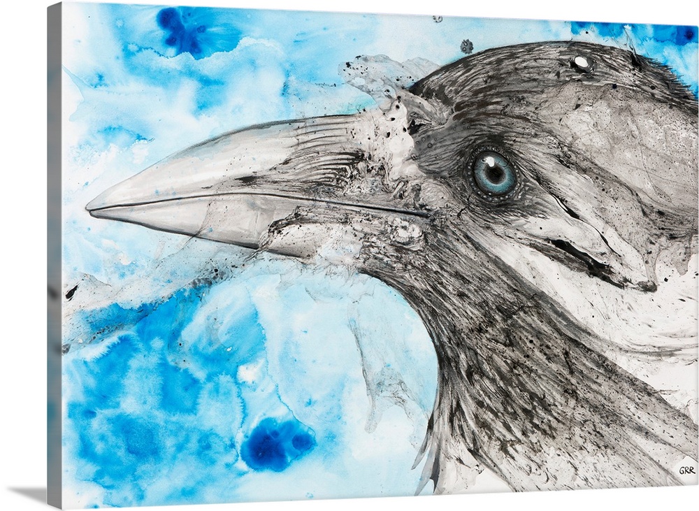 Illustration of a bird's eye and beak with mottled blue and white background.