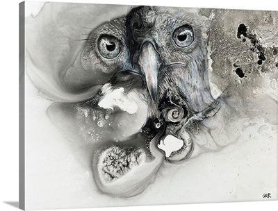 Illustration of a bird's face surrounded by mottled textures and abstract