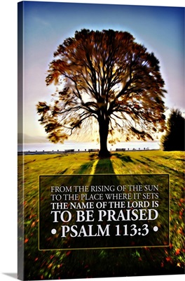 Image Of A Backlit Tree In Autumn Against A Blue Sky With Scripture From Psalm 113:3