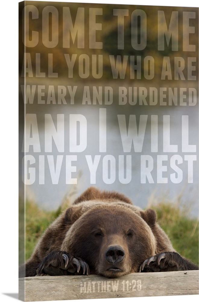 Image Of A Bear Resting It's Head On A Log With A Scripture From Matthew 11:28