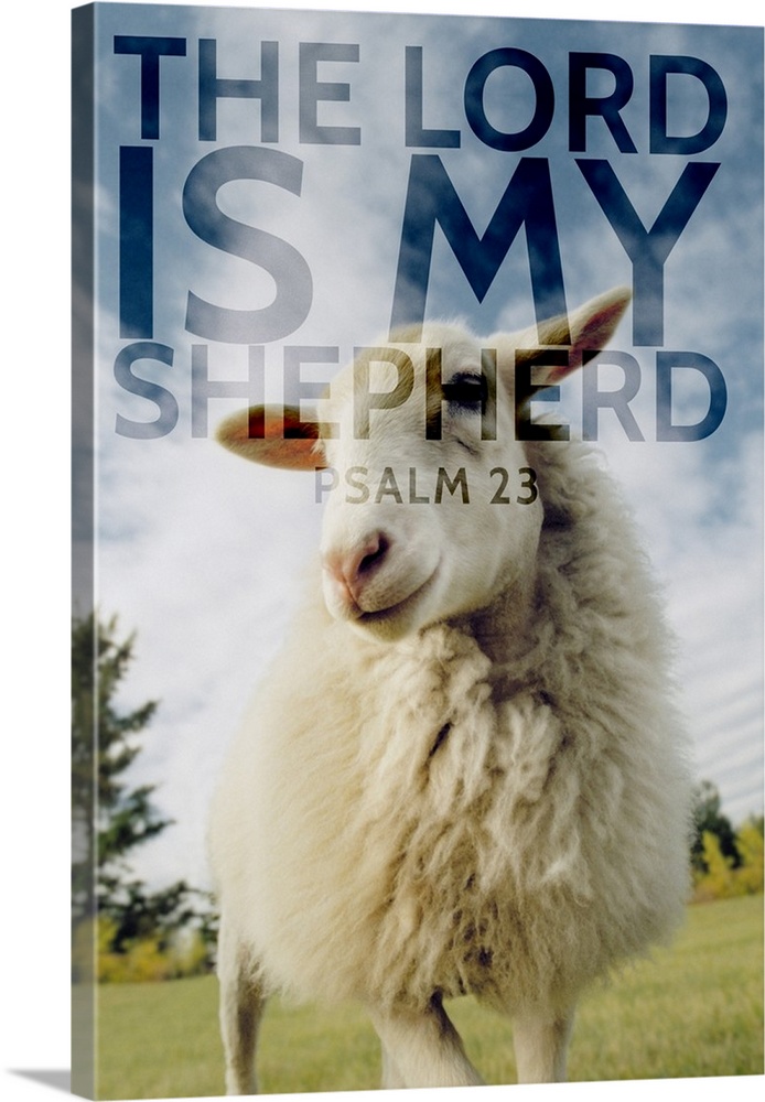 Image Of A Sheep With Scripture From Psalm 23