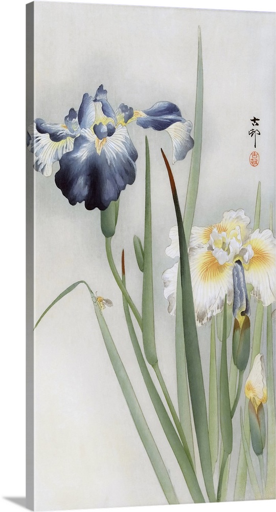 Irises by Japanese artist Ohara Koson, 1877 - 1945.  Ohara Koson was part of the shin-hanga, or new prints movement.