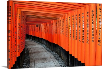 Japan, Red Columns Along Pathway, Kyoto