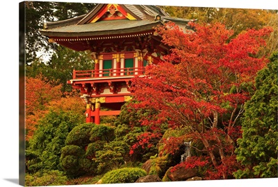 Japanese Tea Garden In Golden Gate Park; San Francisco, California, USA