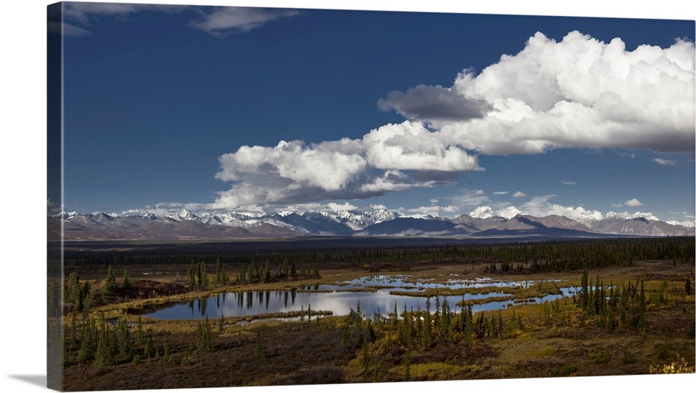 Scenic View Of A Kettle Pond With The Alaska Range In The Background, Interior Alaska