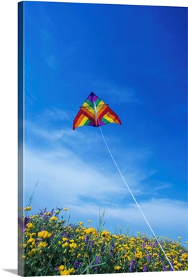 Kite Over Field, Winnipeg, Manitoba