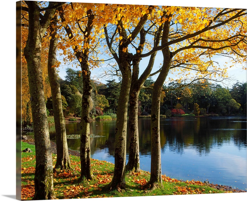 Lake And Trees, Mount Stewart, County Down, Ireland