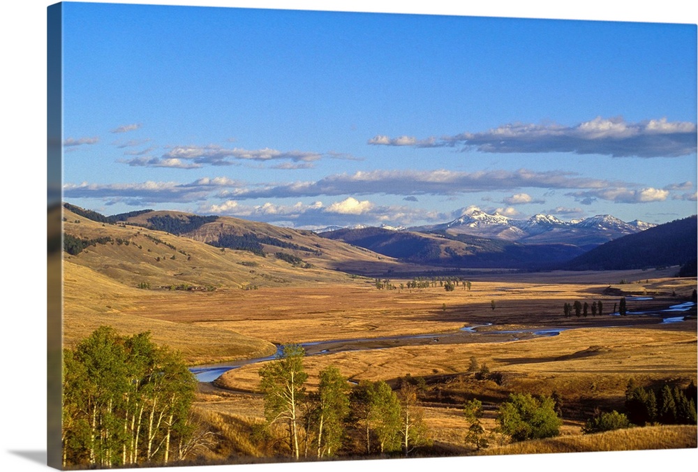 Lamar Valley on a summer evening in Yellowstone National Park, Wyoming, United States of America. Lamar Valley on a summer...