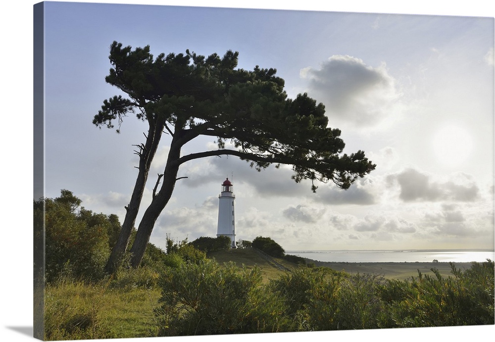 Lighthouse on the Dornbusch in the Morning, Summer, Baltic Island of Hiddensee, Baltic Sea, Western Pomerania, Germany