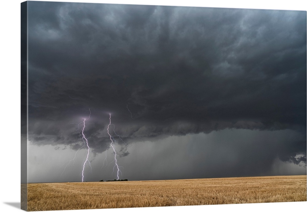 Lightning strikes from a supercell thunderstorm over a wheat field in Nebraska.