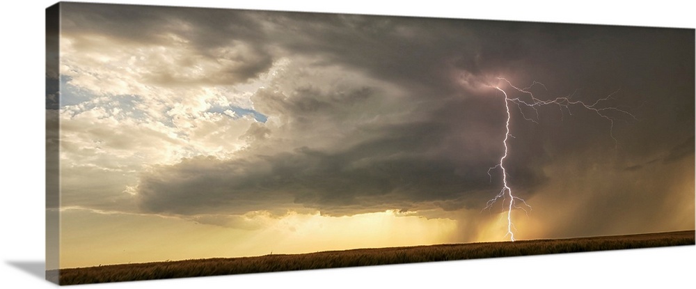 Lightning strikes from a supercell thunderstorm over a wheat field in Nebraska.