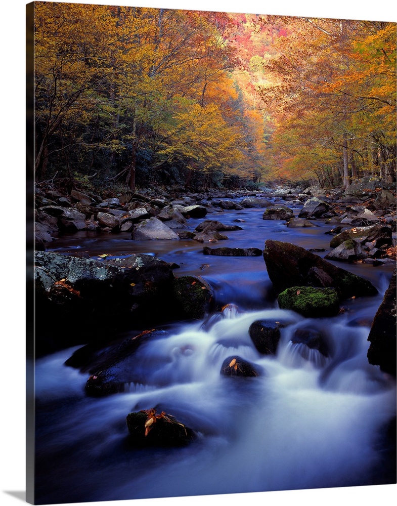 Little River Cascades And Autumn Colors, Great Smoky Mountains N