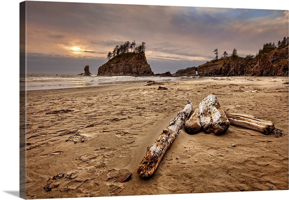 Logs lying on a sandy beach at sunset.