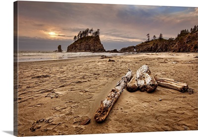 Logs Lying On A Sandy Beach At Sunset