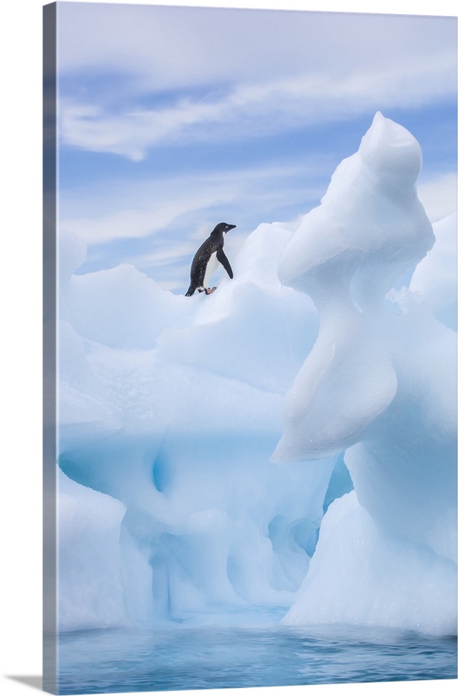 Lone Adelie penguin (Pygoscelis adeliae) standing on spiral sea ice sculpture looking upward to the soft blue sky, taken f...