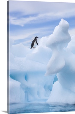 Lone Adelie Penguin Standing On Spiral Sea Ice Sculpture, Antarctica