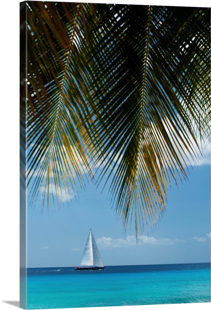 Looking Through Palm Trees To Large Yacht Off The West Coast Of Barbados