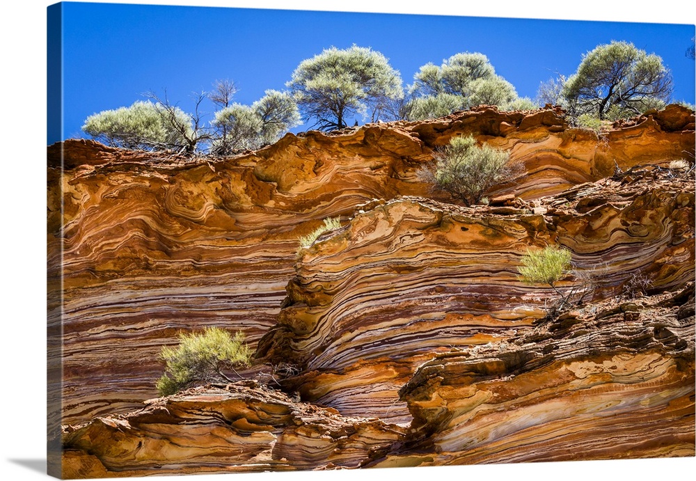 Low Angle View of Cliff and Trees, The Loop, Kalbarri National Park, Western Australia, Australia