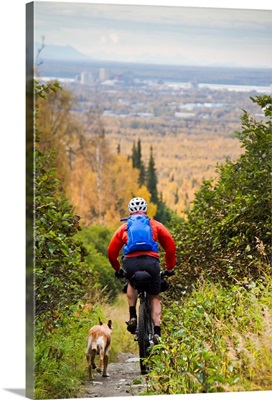 Man Mountain Biking With Dog Running Beside Him, Anchorage, Alaska