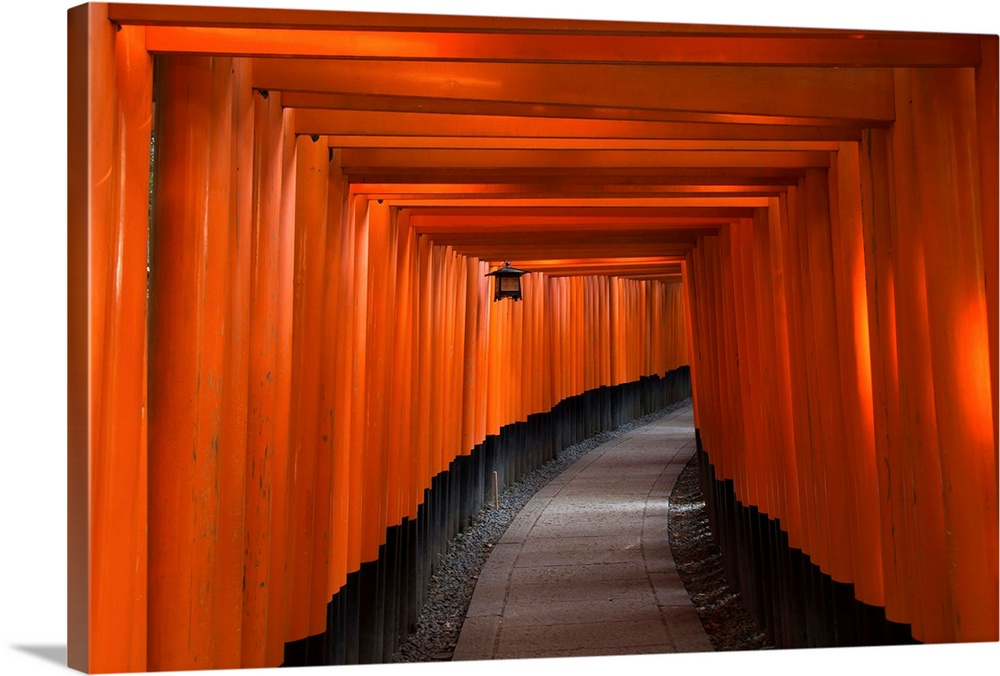 Many tori gates at Fushimi Inari. Kyoto, Japan.