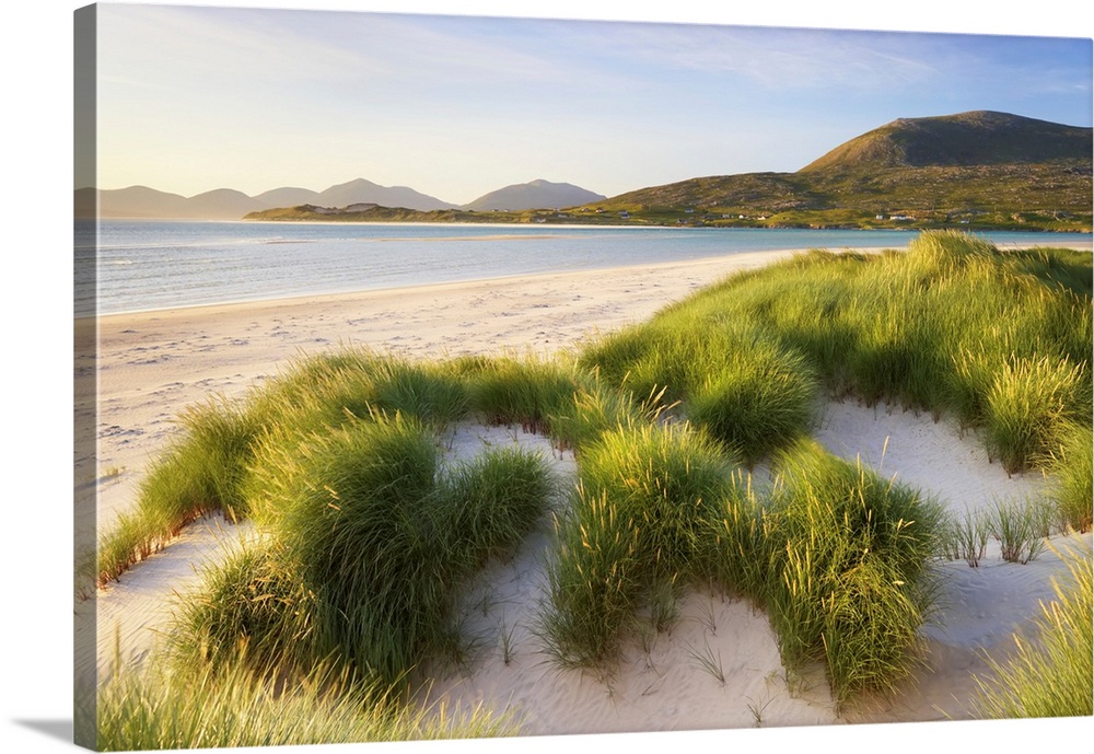Marram Grass and Dunes, Sound of Taransay, Isle of Harris, Scotland
