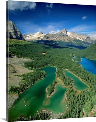 Mary Lake And Lake O Hara, Yoho National Park, British Columbia, Canada