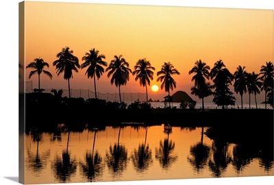 Mexico, Ixtapa, Sunset With Palms, Reflections On Water Foreground