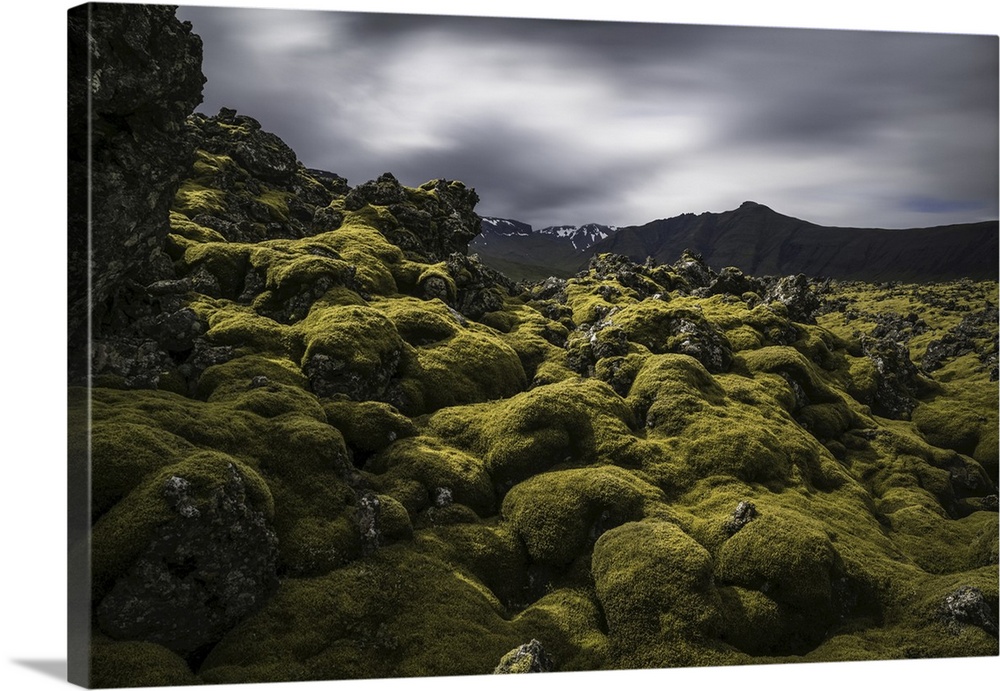 Moss covered lava field on the Snaefellsness peninsula, Iceland.