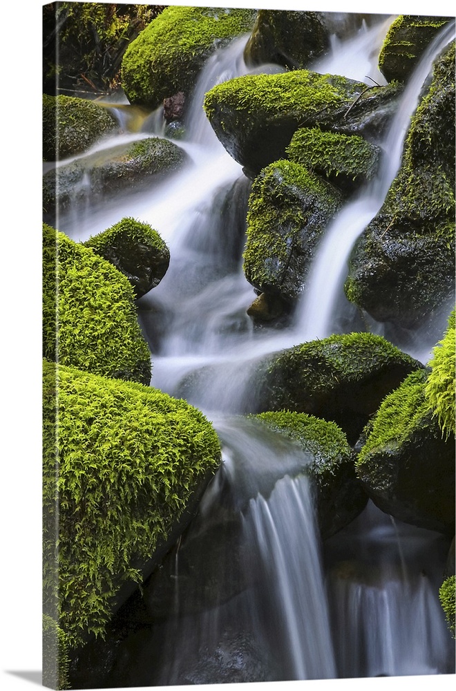 Moss-covered rocks with cascading water, Denver, Colorado, united states of America.