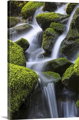 Moss-Covered Rocks With Cascading Water, Denver, Colorado, United States Of America