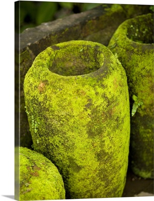 Moss Covered Urns