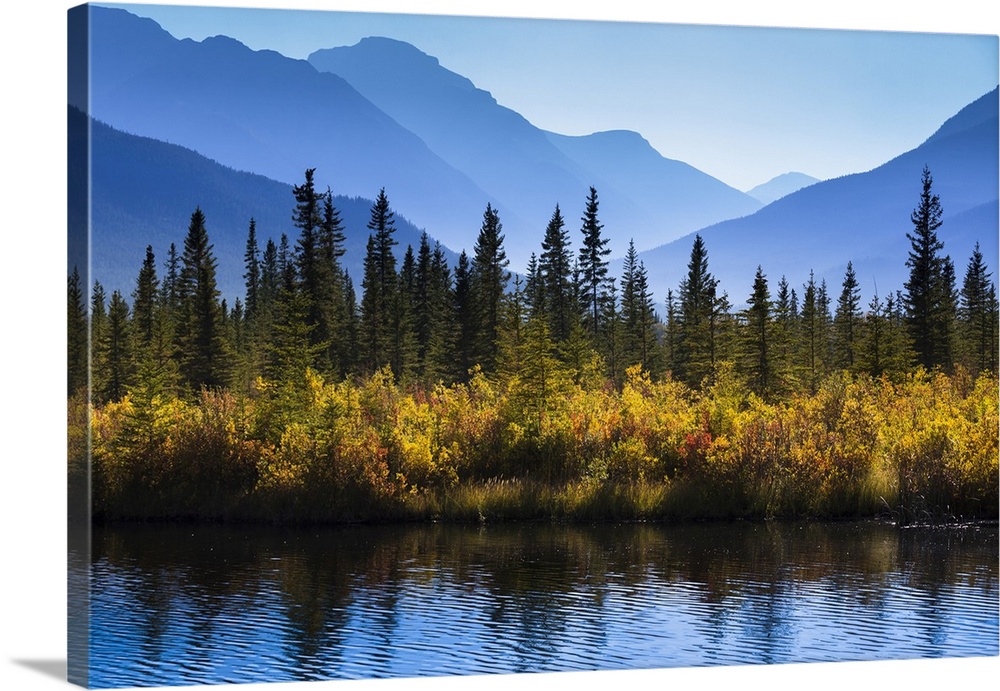 Autumn Vegetation and Mountain Range at Vermilion Lakes, near Banff, Banff National Park, Alberta, Canada