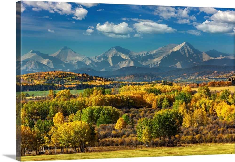 Mountain range with colourful covered treed foothills in the fall with blue sky and clouds, West of Calgary, Alberta, Albe...