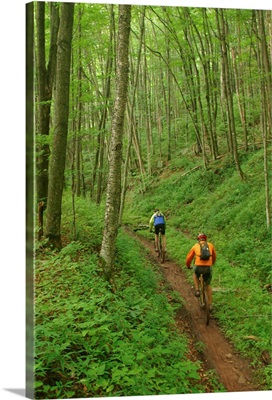 Mountainbikers on Props Run, a single track trail.; Monongahela National Forest, Slatyfork, West Virginia.