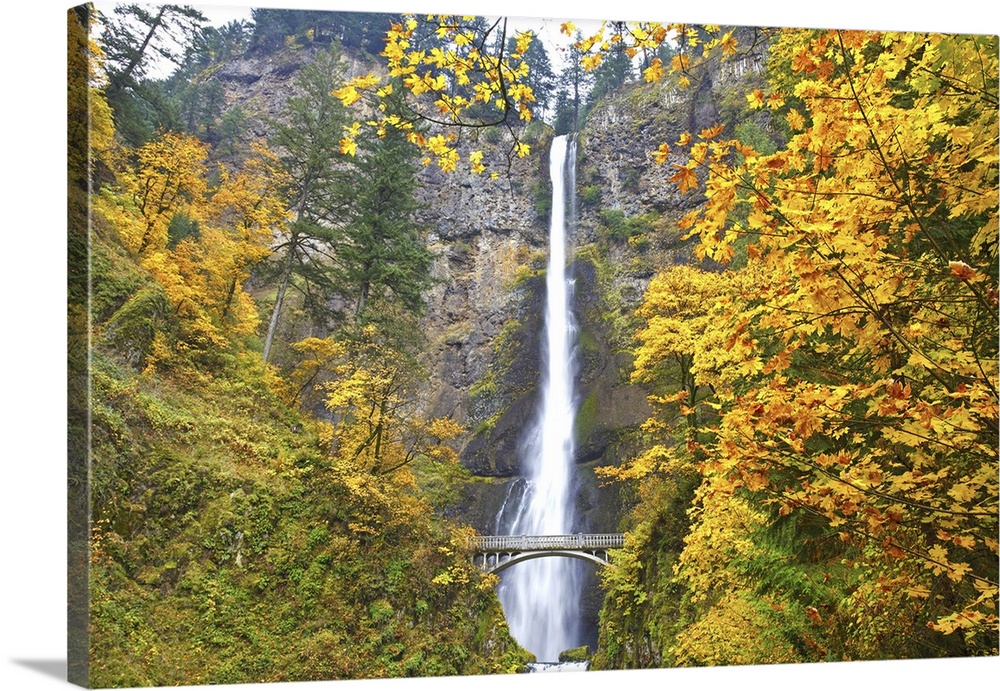 05 Nov 2009, Oregon, USA, USA --- Multnomah Falls in the Columbia River Gorge --- Image by  Craig Tuttle/Corbis
