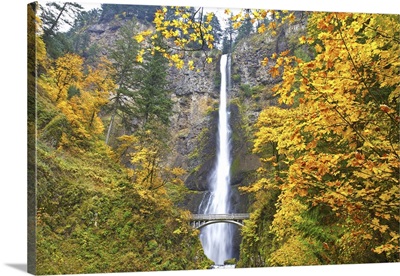 Multnomah Falls In Autumn, Columbia River Gorge, Oregon